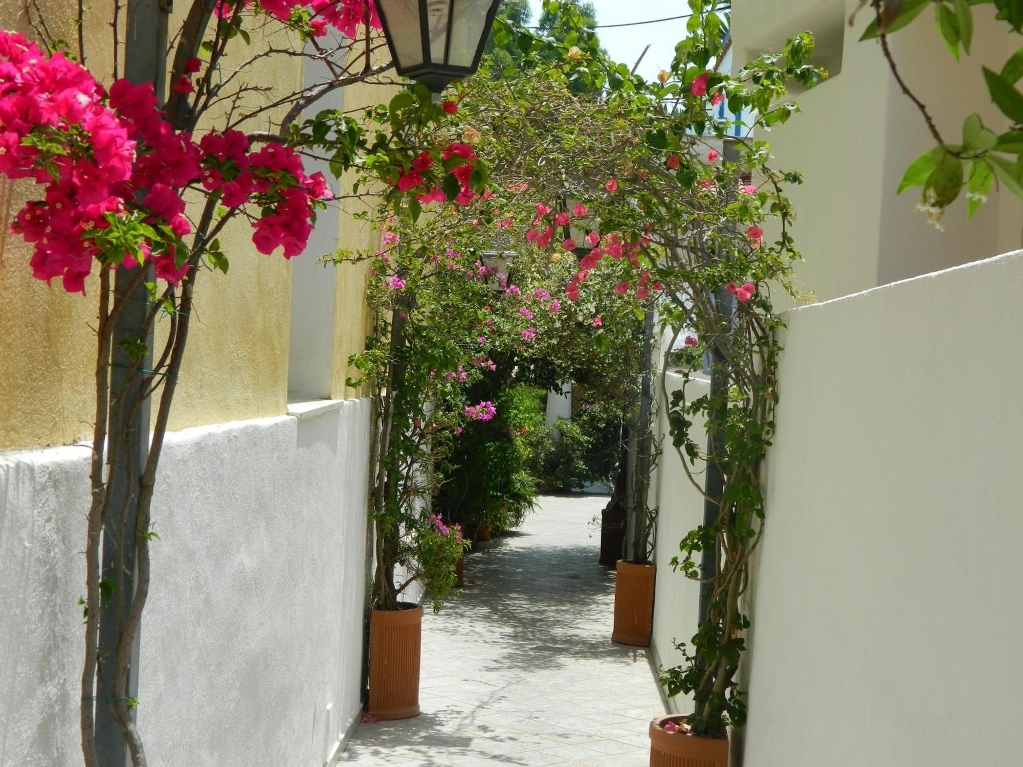 Hotel Villa Hermosa Ischia Ngoại thất bức ảnh